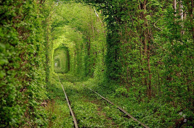 爱的隧道，乌克兰
