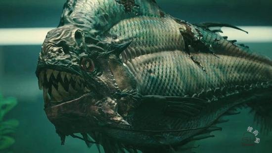 真实的食人鱼和电影中的食人鱼，真能称霸水下？